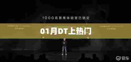 DT热门趋势揭秘，一月热议焦点