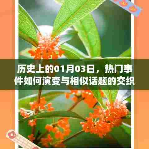 历史上的大事件演变与相似话题交织,一月三日深度解析
