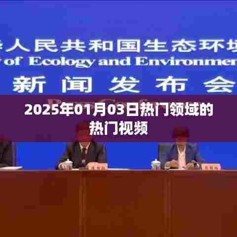 热门领域视频风向标,2025年元旦热门视频盘点