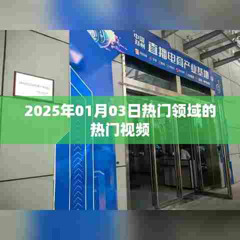 热门领域视频风向标,2025年元旦热门视频盘点