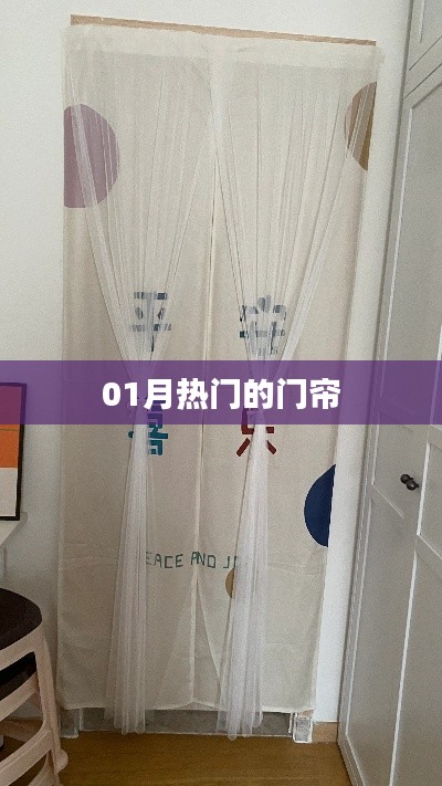 最新热门门帘款式,时尚流行之选