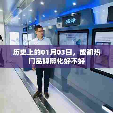 惊弦之鸟 第3页