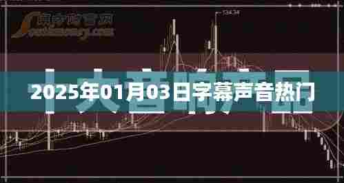 2025年1月3日热门字幕声音解析