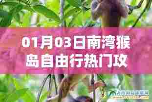 南湾猴岛自由行攻略指南,热门行程一网打尽