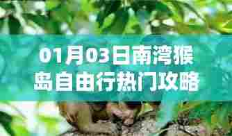 南湾猴岛自由行攻略指南,热门行程一网打尽