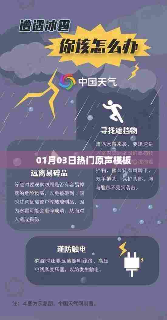 热门原声模板大揭秘,最新动态一网打尽(01月03日)