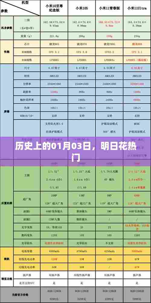 明日花的历史时刻，探寻01月03日的足迹