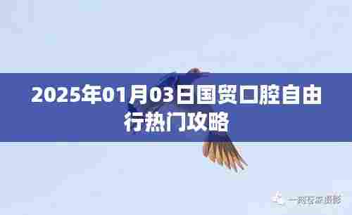 国贸口腔自由行指南,热门攻略助你畅游2025年新年