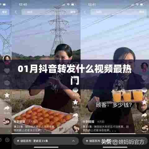 抖音热门视频转发趋势分析,一月最火内容盘点