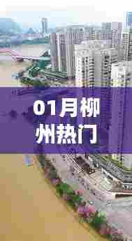 柳州热门行业概览(一月份动态)