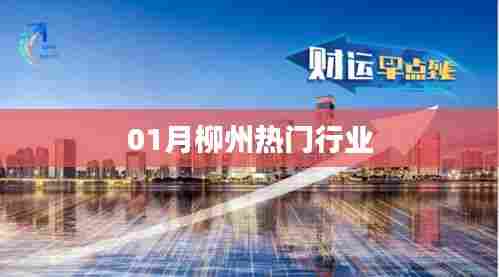 柳州热门行业概览(一月份动态)