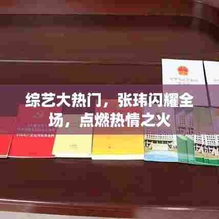 张玮综艺大热门,全场热情燃烧之时