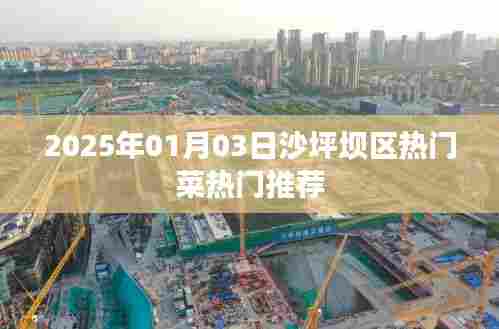 2025年沙坪坝区热门菜推荐，美食盛宴不容错过