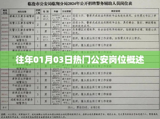 「历年公安岗位热点解析,1月3日岗位概览」