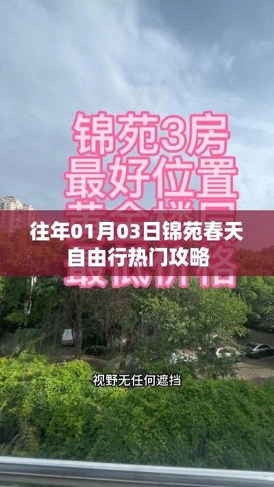 锦苑春天自由行,热门攻略揭秘