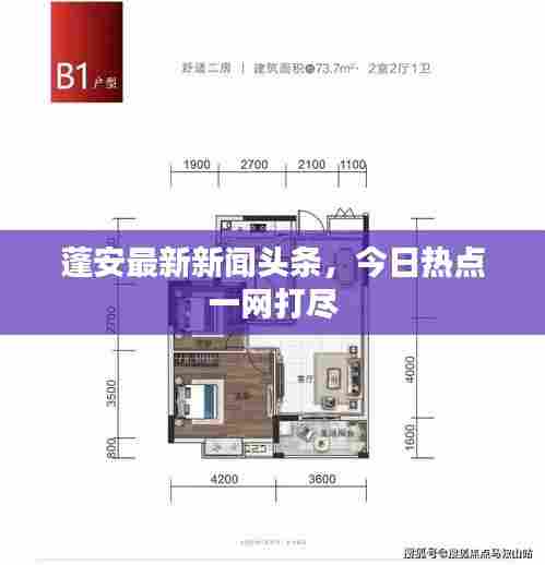 蓬安最新新闻头条，今日热点一网打尽