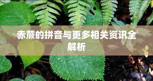 赤蕨的拼音与更多相关资讯全解析