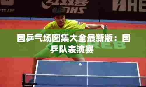 国乒气场图集大全最新版:国乒队表演赛
