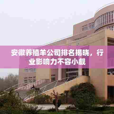 安徽养殖羊公司排名揭晓，行业影响力不容小觑