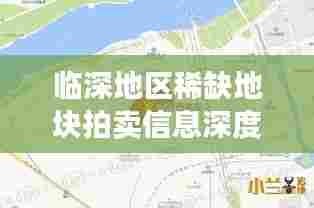 临深地区稀缺地块拍卖信息深度解析，最新动态一网打尽