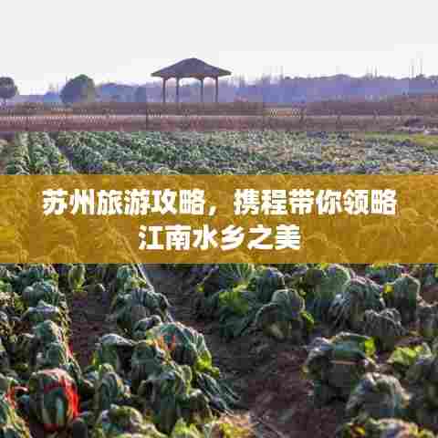 苏州旅游攻略,携程带你领略江南水乡之美