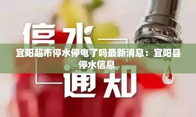一花独放 第3页