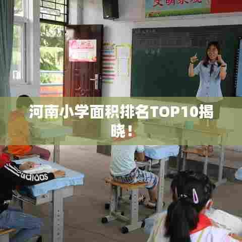 河南小学面积排名TOP10揭晓!