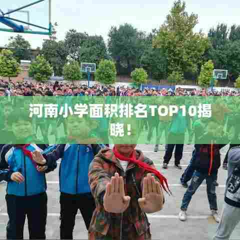 河南小学面积排名TOP10揭晓!