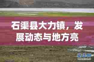 石渠县大力镇，发展动态与地方亮点新闻头条