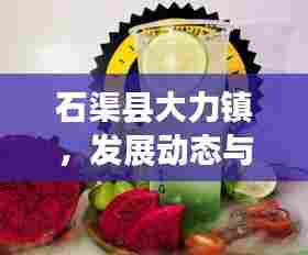 石渠县大力镇,发展动态与地方亮点新闻头条