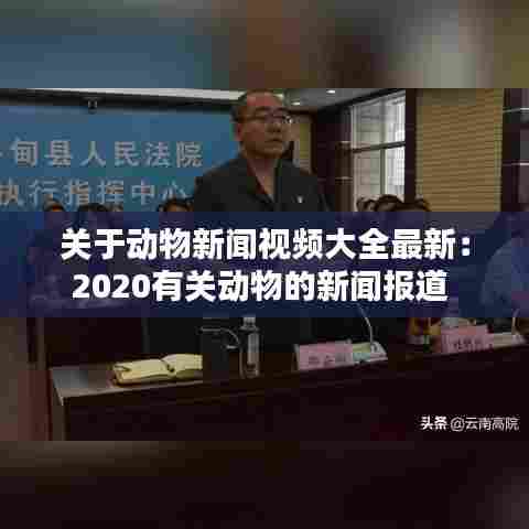 关于动物新闻视频大全最新:2020有关动物的新闻报道