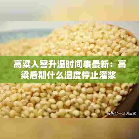 高粱入窖升温时间表最新:高粱后期什么温度停止灌浆