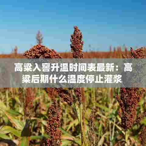 高粱入窖升温时间表最新:高粱后期什么温度停止灌浆