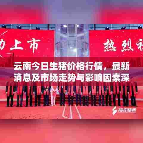 云南今日生猪价格行情，最新消息及市场走势与影响因素深度解析