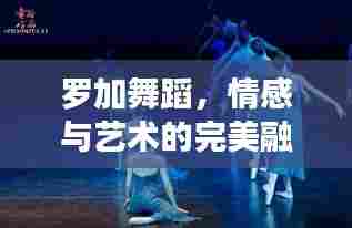 罗加舞蹈,情感与艺术的完美融合之旅
