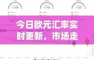 今日欧元汇率实时更新，市场走势深度解析