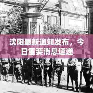 沈阳最新通知发布,今日重要消息速递