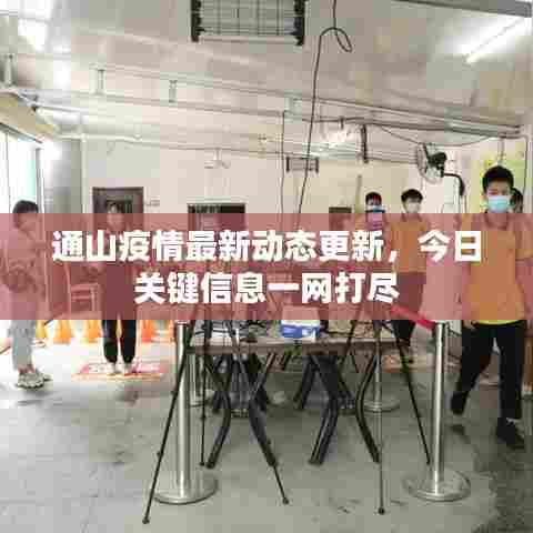 通山疫情最新动态更新,今日关键信息一网打尽