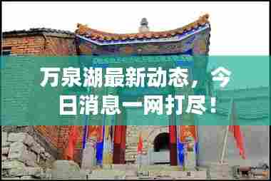 万泉湖最新动态，今日消息一网打尽！