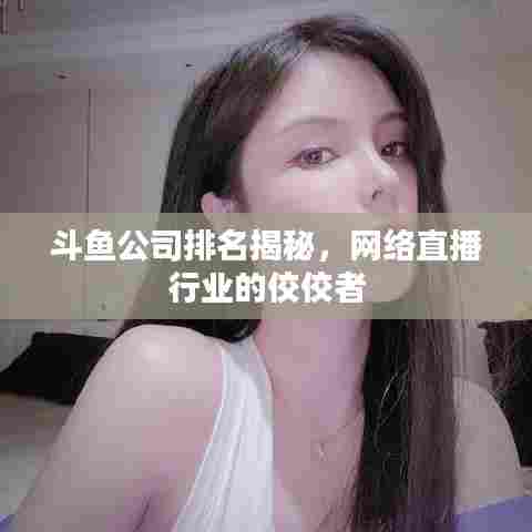 斗鱼公司排名揭秘，网络直播行业的佼佼者