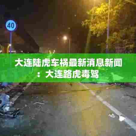大连陆虎车祸最新消息新闻：大连路虎毒驾 