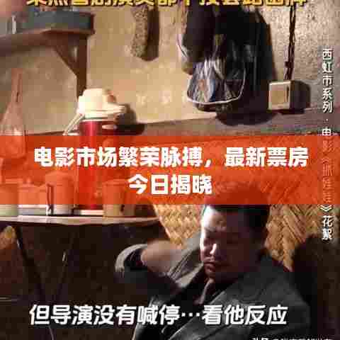 电影市场繁荣脉搏,最新票房今日揭晓