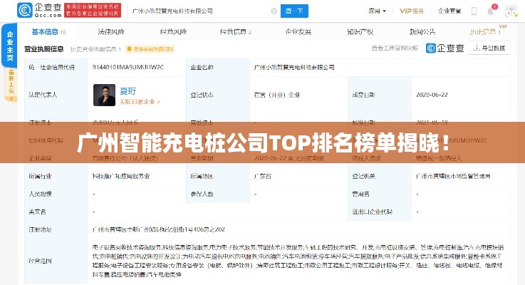 广州智能充电桩公司TOP排名榜单揭晓!