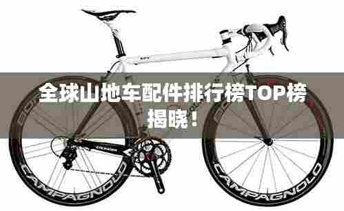 全球山地车配件排行榜TOP榜揭晓!