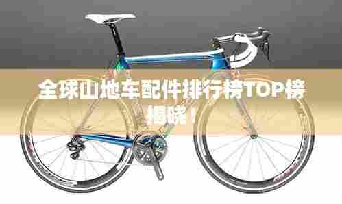 全球山地车配件排行榜TOP榜揭晓！