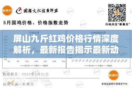 屏山九斤红鸡价格行情深度解析,最新报告揭示最新动态