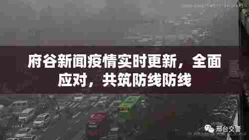 府谷新闻疫情实时更新，全面应对，共筑防线防线