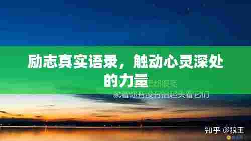 犯而不校 第2页