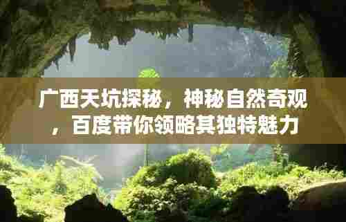 广西天坑探秘,神秘自然奇观,百度带你领略其独特魅力