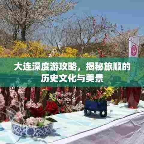 大连深度游攻略,揭秘旅顺的历史文化与美景